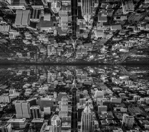 administrators in medicine