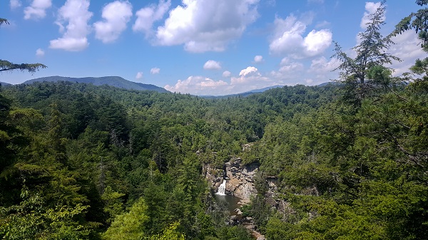 avalanche vs snowball for doctors