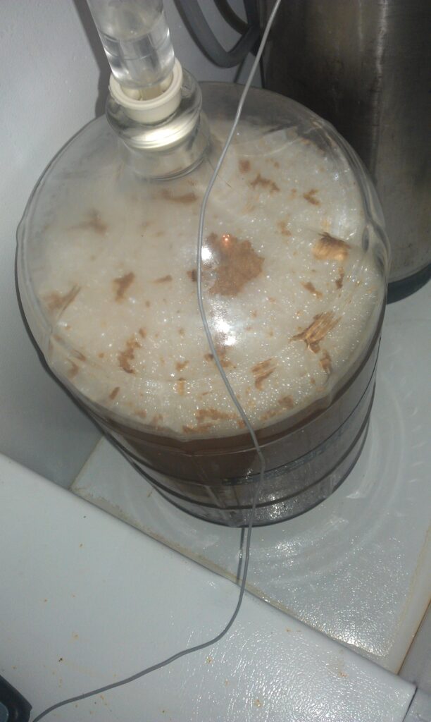 fermenting beer for homebrew