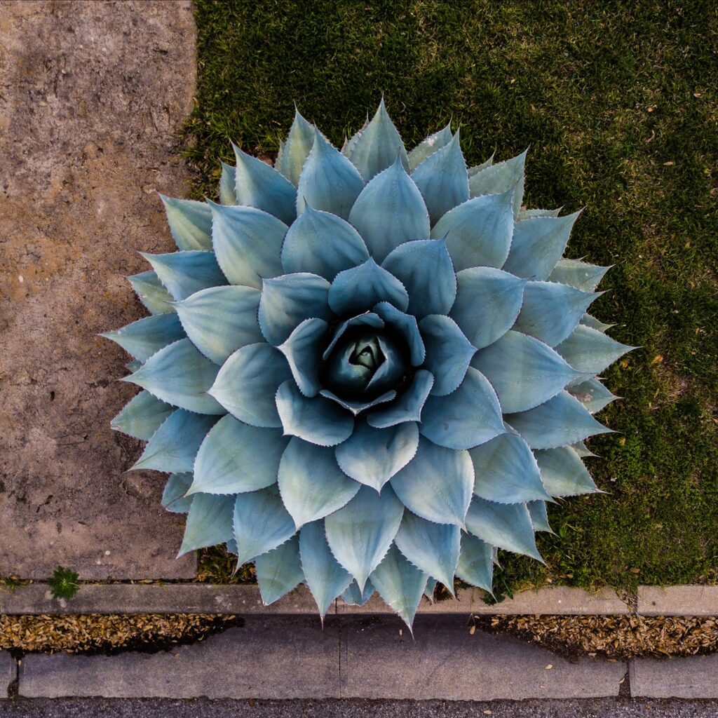 opening a primary care