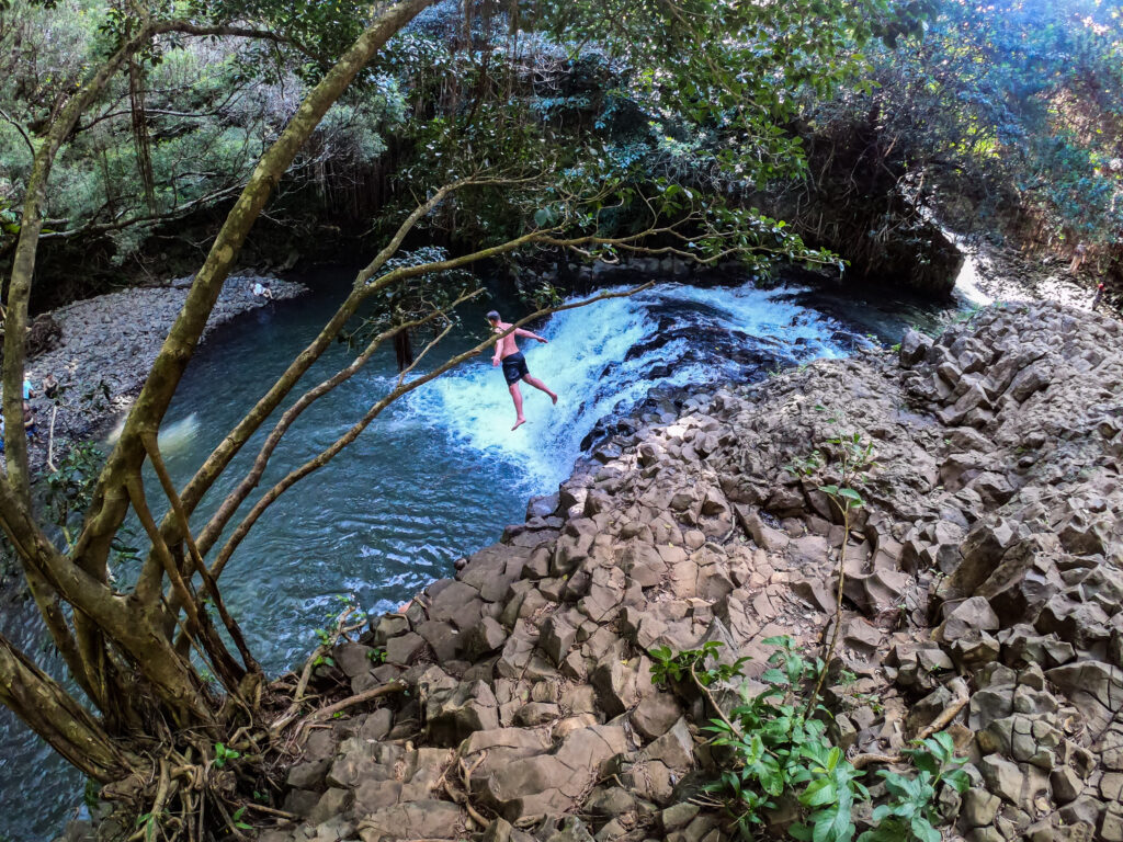 Investingdoc starting up a new practice